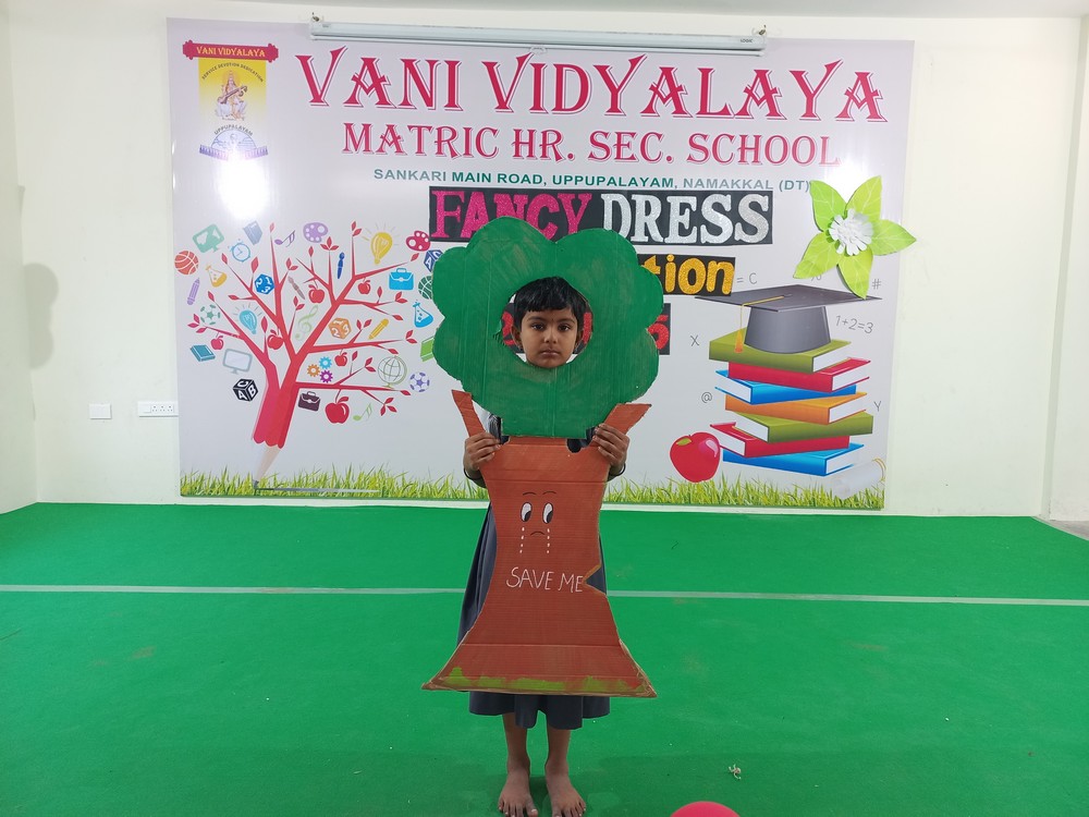 Fancy Dress Competition (II- Std) - 2024-25